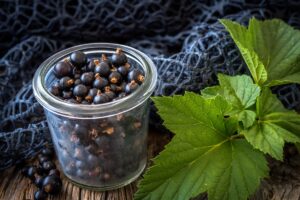 Ribes Nigrum dott alina di ronza