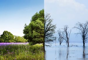 cambiamento climatico