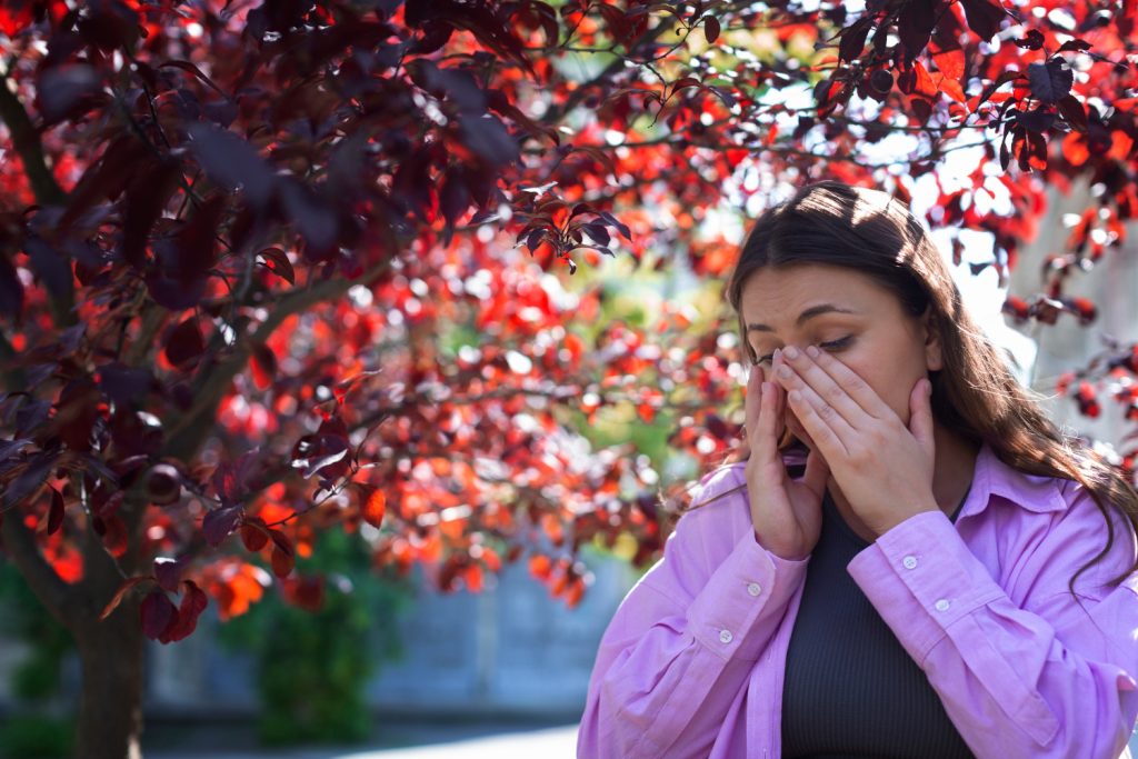 allergie stagionali